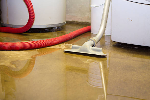 Best Flood damage cleanup  in Reamstown, PA